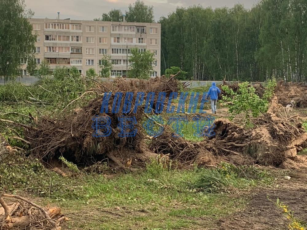В Коврове построят новую школу В Коврове построят новую школу