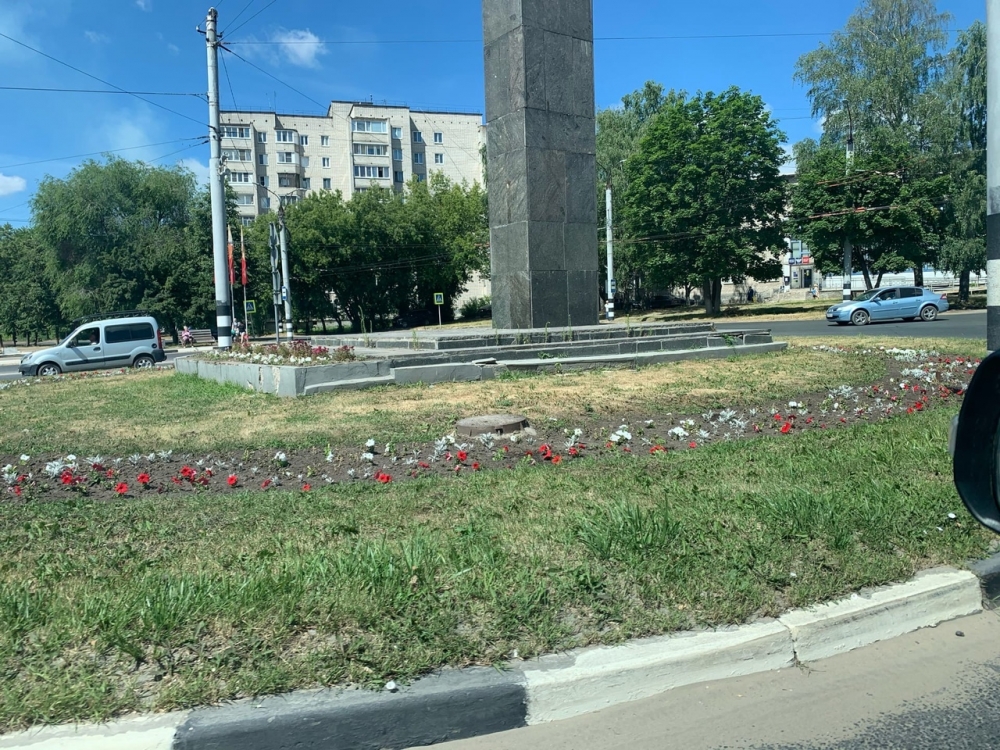 Вяленький цветочек Вяленький цветочек
