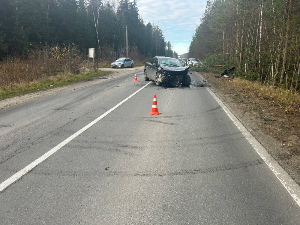 Полно пьяных за рулем Полно пьяных за рулем