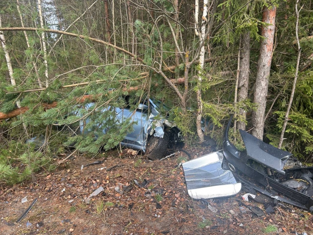 ����� ������ �� �����