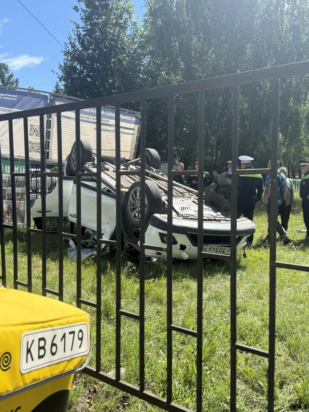 Все живы! Все живы!