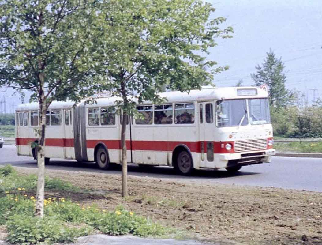 На «первом» автобусе, или История общественного транспорта в Коврове